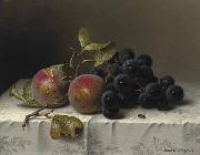 Johann Wilhelm Preyer Prunes and grapes on a damast tablecloth